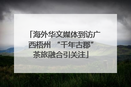 海外华文媒体到访广西梧州 “千年古郡”茶旅融合引关注